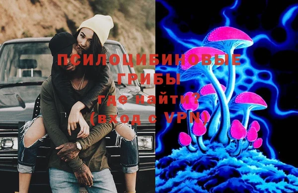 а пвп мука Елабуга