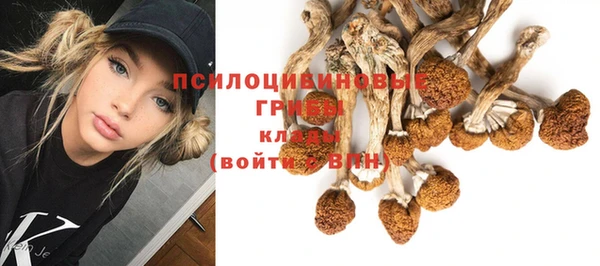 амф Елизово