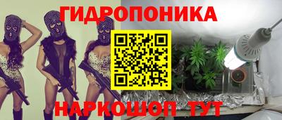 гашиш Кингисепп