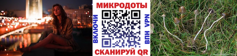 Псилоцибиновые грибы GOLDEN TEACHER  купить наркотики цена  mega как зайти  Обь 