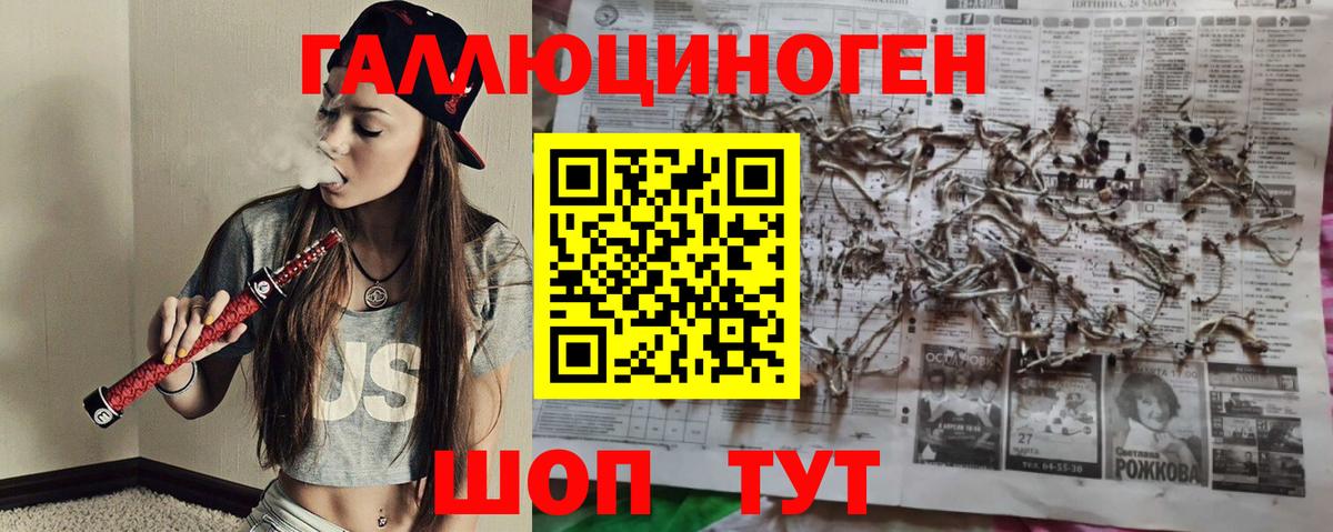 наркота  Вход с VPN  Обь  Псилоцибиновые грибы прущие грибы  Галлюциногенные грибы GOLDEN TEACHER 